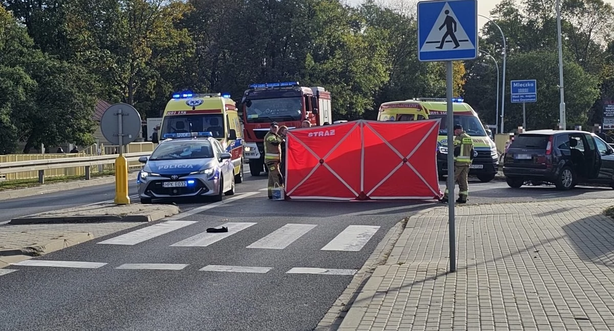 Na tym przejściu dla pieszych, nieopodal zajazdu „Pastwenik”, 9 października ub.r. doszło do tragicznego w skutkach wypadku. Fot. KPP Przeworsk