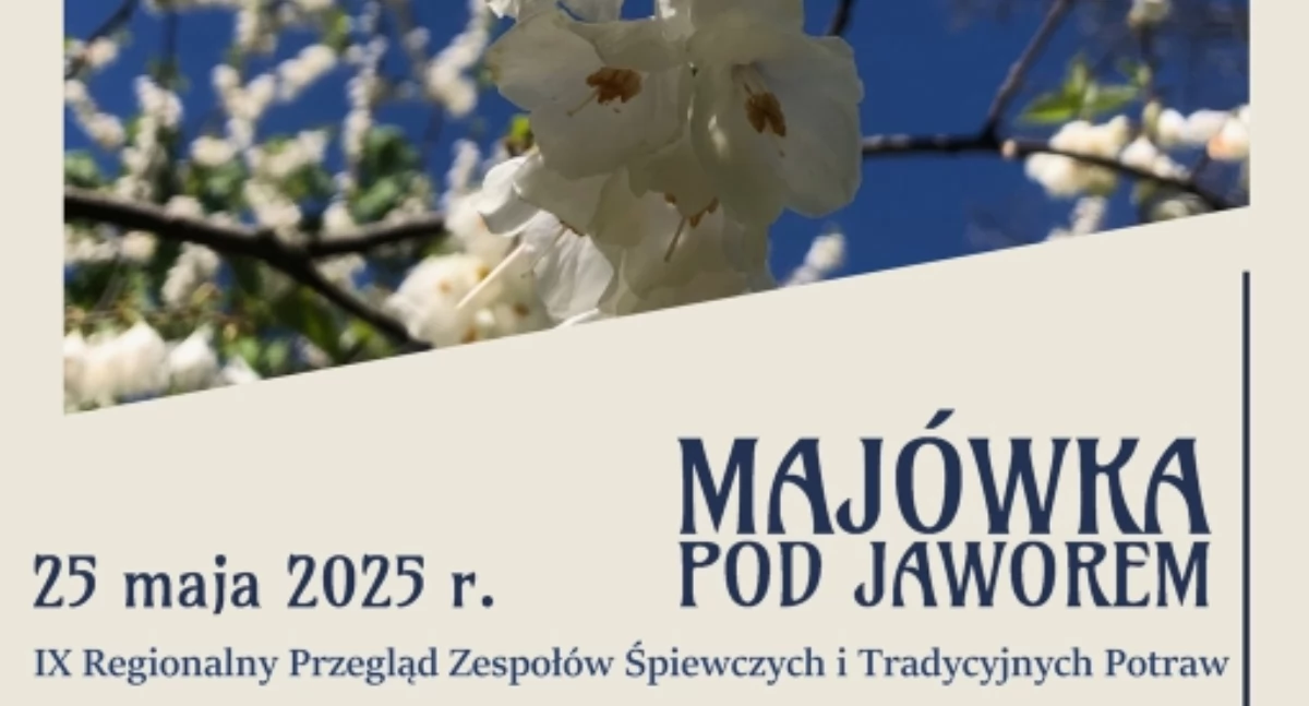 Inne wydarzenia, Majówka Jaworem - zdjęcie, fotografia