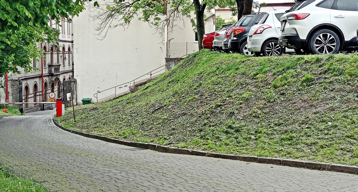 Teren ze skarpą i placem, który służy obecnie za dwupoziomowy parking, znajduje się na tyłach budynków przy placu Dominikańskim 3 i przy ul. Kościuszki 3. Fot. Mariusz Godos
