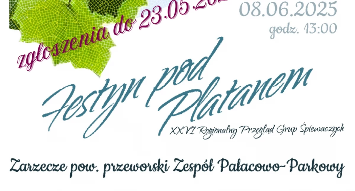 Inne wydarzenia, Festyn Platanem - zdjęcie, fotografia