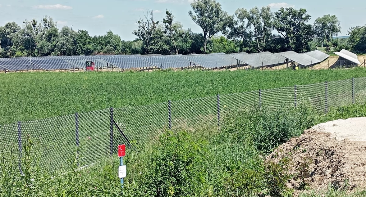Na terenie przemyskiej podstrefy Tarnobrzeskiej Specjalnej Strefy Ekonomicznej „Euro-Park Wisłosan” dobiega powoli końca budowa dużej farmy fotowoltaicznej. Fot. Mariusz Godos