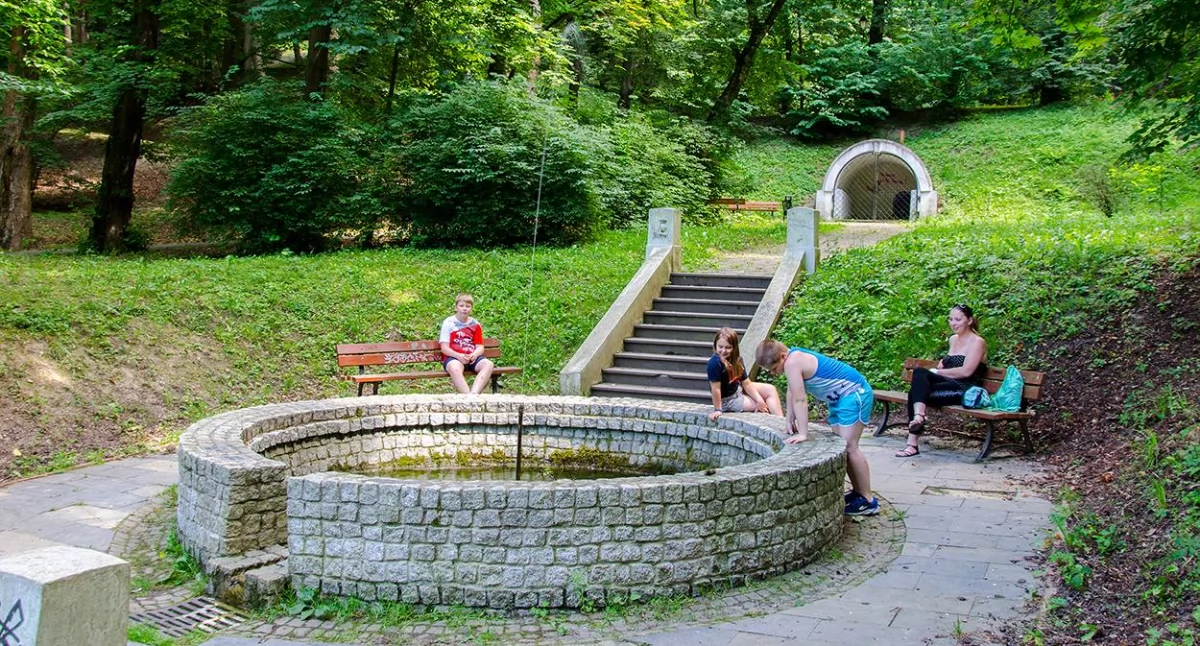 Bez opinii sztucznej inteligencji od dawna wiadomo, że przemyski parki o powierzchni blisko 20 ha, uważany jest za jeden z najpiękniejszych parków miejskich w Polsce. Fot. UM Przemyśl