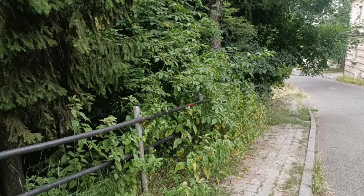 Sygnały czytelników, Zaniedbania utrudniają przejście - zdjęcie, fotografia