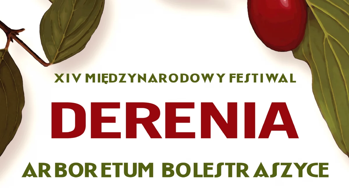 Inne wydarzenia, Festiwal derenia Bolestraszycach - zdjęcie, fotografia