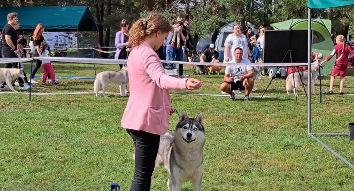 Właściciele czworonogów dwoili się i troili, by ich czworonożni podopieczni dobrze wypadli w rywalizacji. / FOT. U. Gielo