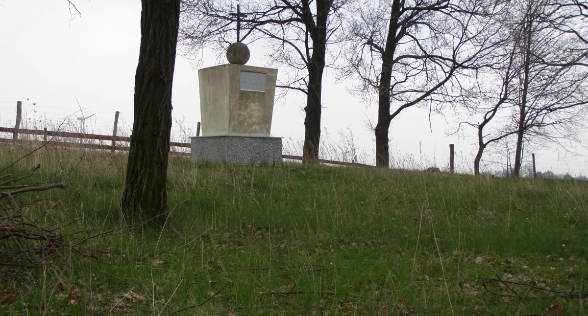 Z pierwotnego urządzenia nekropolii zachował się jedynie pomnik główny. Jest to niewysoki, betonowy obelisk zwieńczony kulą z metalowym krzyżem. Fot. PUW Rzeszów