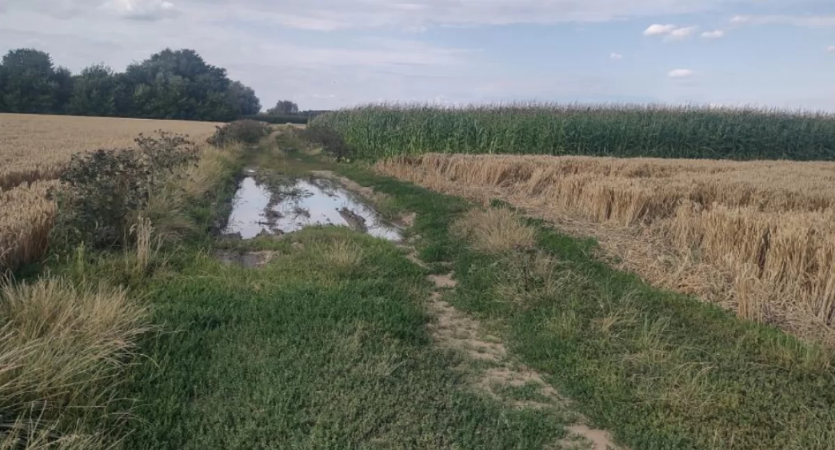 Ulica Kolaniki to najdłuższa ulica dzielnicy nr 7, ale też samego Jarosławia. Jej stan jest tragiczny. Przypomina raczej drogę polną, choć ma status ulicy miejskiej./ FOT. ZW
