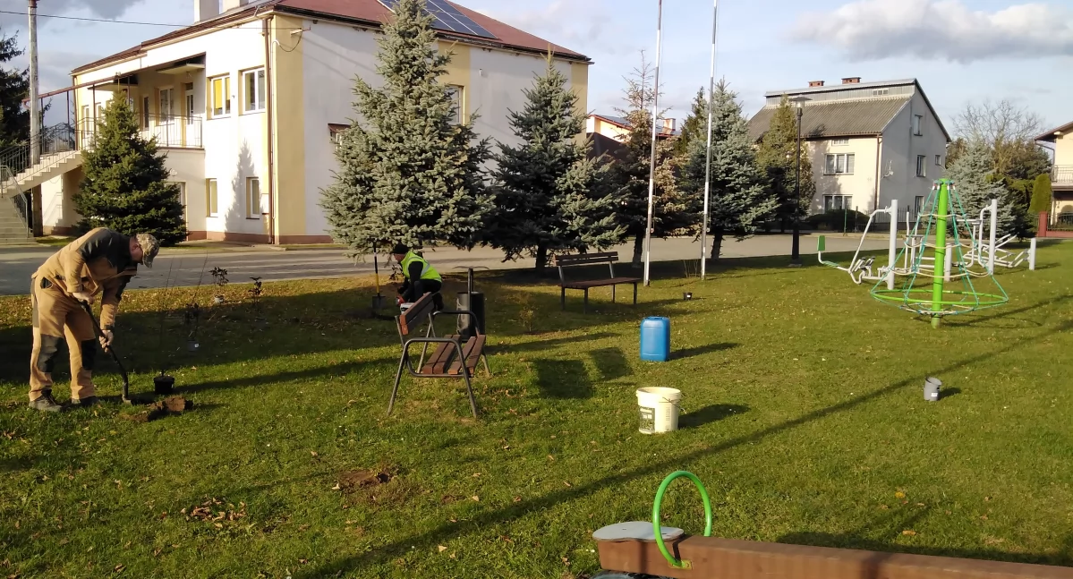 W sadzenie roślin miododajnych zaangażowali się sołtysi, którzy będą regularnie doglądać sadzonek./Fot. UMiG Sieniawa