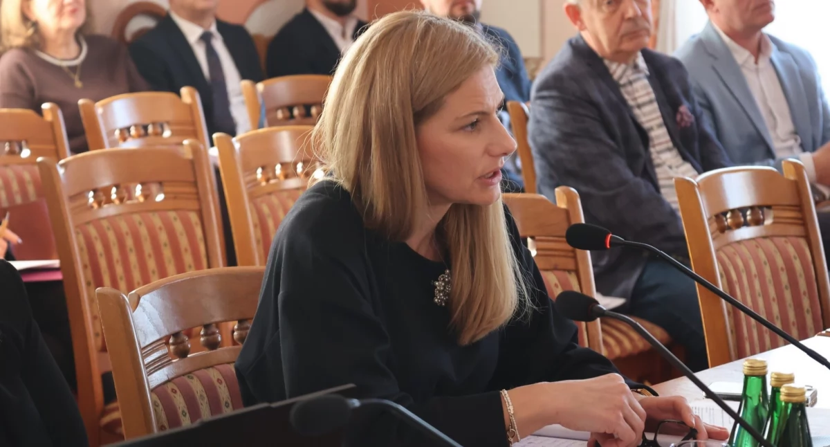 Szczegóły i powody wprowadzenia przesunięć budżetowych wyjaśniała na sesji wiceburmistrz Magdalena Lehnart./ FOT. UM Jarosław