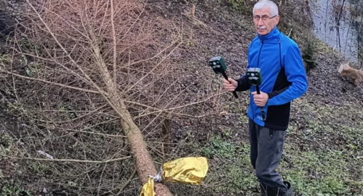 Mieszkaniec Młodowic S. Moskowicz z problemem wynikającym z działalności bobrów zmaga się już bardzo długi czas. Gryzonie zagnieździły się w niewielkim potoku Zalesie obok liczącego 20 arów sadu pana Stefana i od kilku lat systematycznie niszczą drzewa, także te na skarpach brzegowych. – Czuję się kompletnie bezradny – mówi./ FOT. ZW