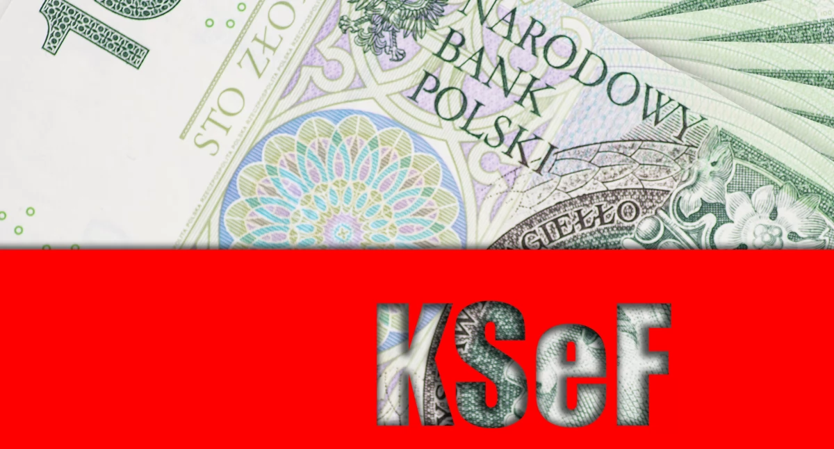 Więcej informacji nt. szkoleń można otrzymać na infolinii Krajowej Informacji Skarbowej (KIS) pod numerem: 22 330 03 30.  