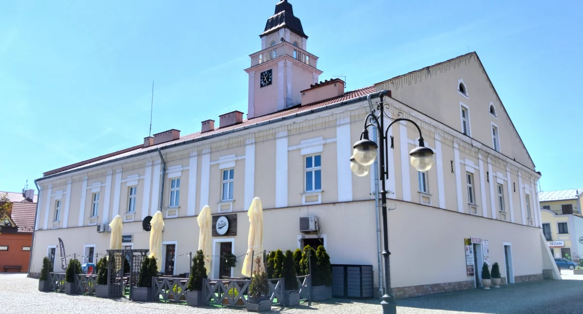 Zaplanowane na 2026 rok oficjalne obchody 350-lecia nadania Sieniawie praw miejskich mają być okazją do przypomnienia mieszkańcom historii miejscowości, jak i ważnych dla niej postaci./ FOT. Wikipedia