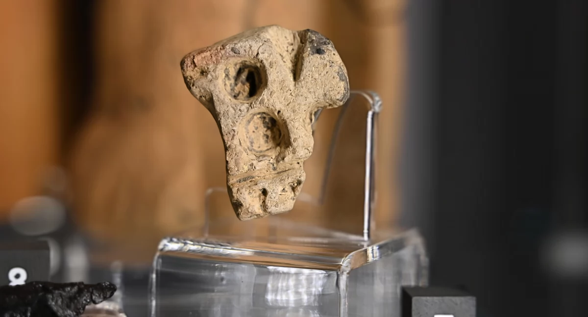 Pitandera z Nienowic jest pierwszym przedmiotem tego typu na terenie ziem polskich. Można ją na co dzień oglądać na wystawie stałej Muzeum w Jarosławiu Kamienica Orsettich. Fot. Muezum w Jarosławiu