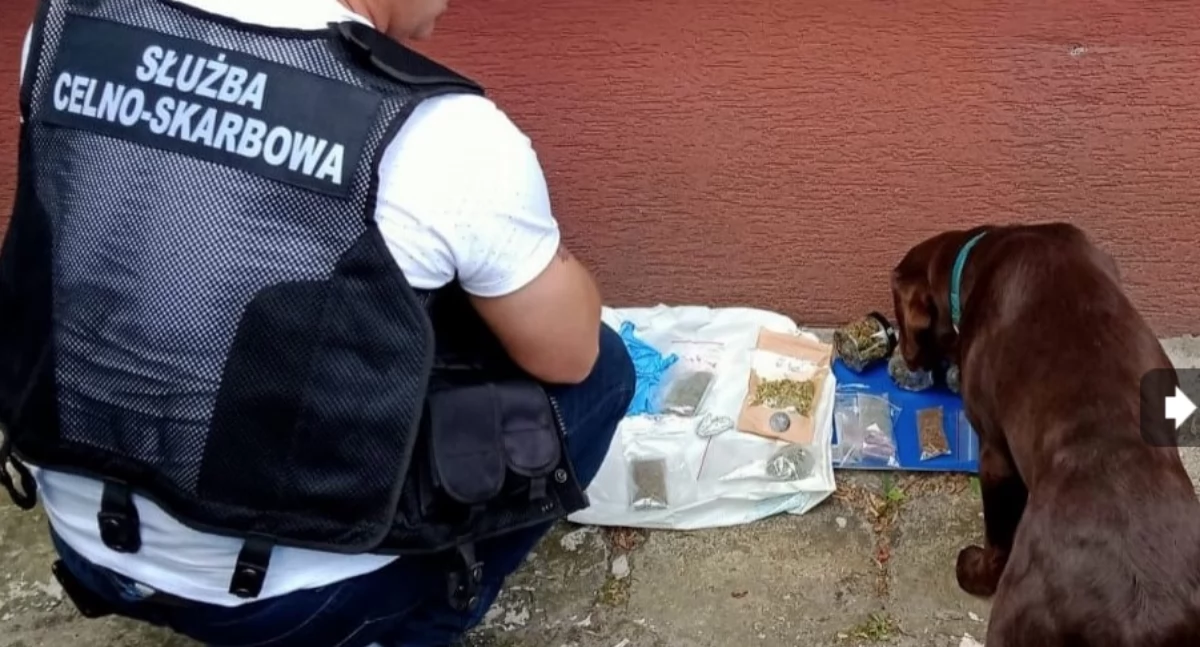 Do zadań funkcjonariuszy KAS należą m.in. te z zakresu kontroli przestrzegania przepisów prawa celnego i przepisów związanych z wywozem i przywozem towarów./ FOT. KAS Rzeszów