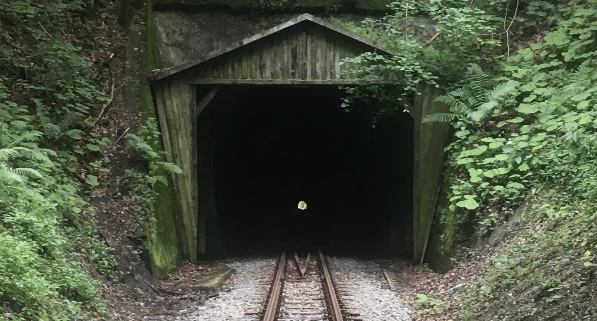 Tunel w Szklarach jest jedynym czynnym tunelem na kolejach wąskotorowych w Polsce. Dzięki dotacji od Podkarpackiego Wojewódzkiego Konserwatora Zabytków w Przemyślu dojdzie do rekonstrukcji jego historycznych wrót. Fot. www.wikipedia.pl