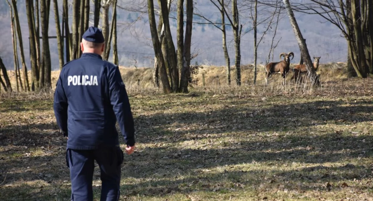 Fot. KPP Jarosław 