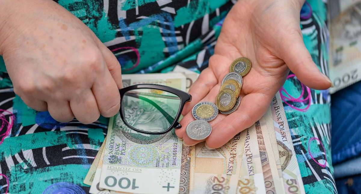 ZUS sygnalizuje przypadki, w których kancelarie oferują pomoc w „załatwieniu” świadczenia wspierającego, pobierając za nią wysokie opłaty. / FOT. ZW