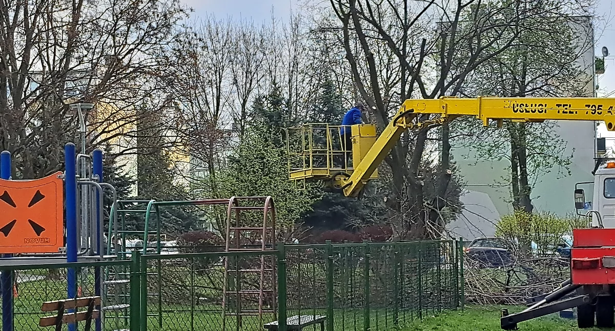 W piątek, 10 kwietnia, mieszkańcy ulicy Rogozińskiego stali się świadkami wycinki sporych rozmiarów drzewa na ich osiedlu. I podęli się próby zatrzymania prac. Jak twierdzi administracja osiedla – klon był chory, a wycinka dokonana została za zgodą konserwatora i miała na względzie kwestie bezpieczeństwa./ FOT. U. Gielo