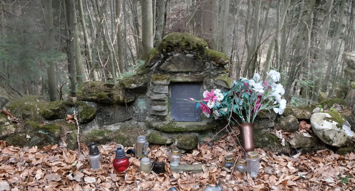 Widok grobu (lesnego mauzoleum) Wegłowskich./Fot. Jacek Szwic