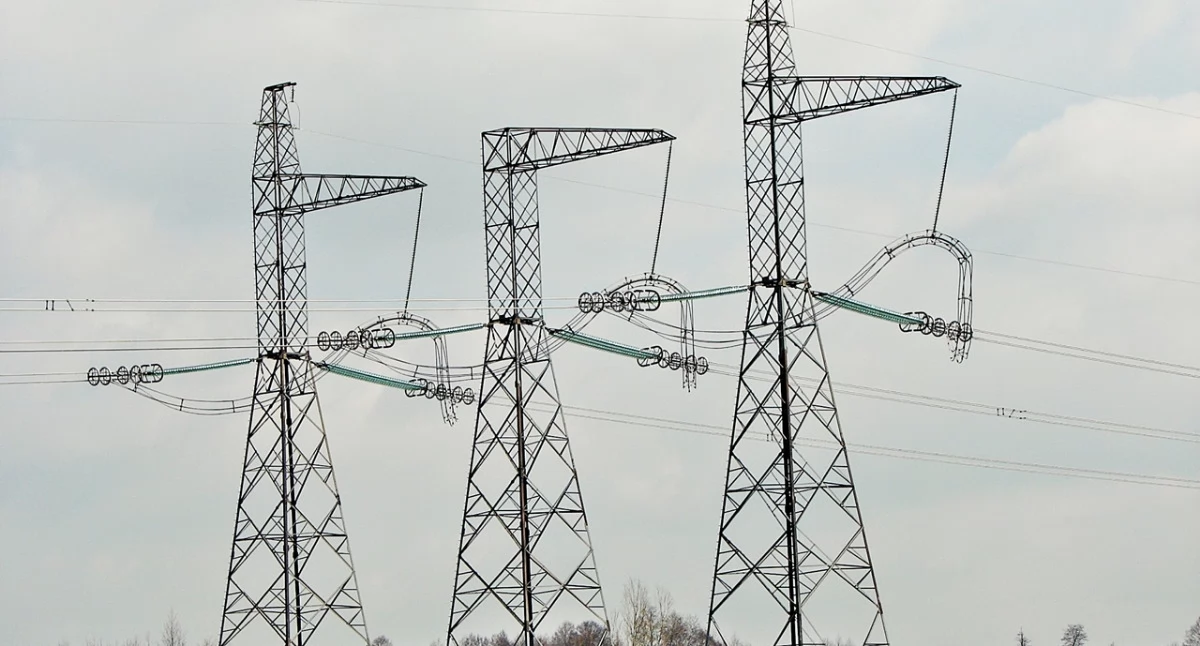 Sieć elektroenergetyczna najwyższych napięć o parametrach 400 kV, obejmująca swoim zasięgiem obszar Przemyśla i jego bezpośrednie otoczenie, z całą pewnością jest w naszym regionie bardzo potrzebna. Fot. Krzysztof Lasoń