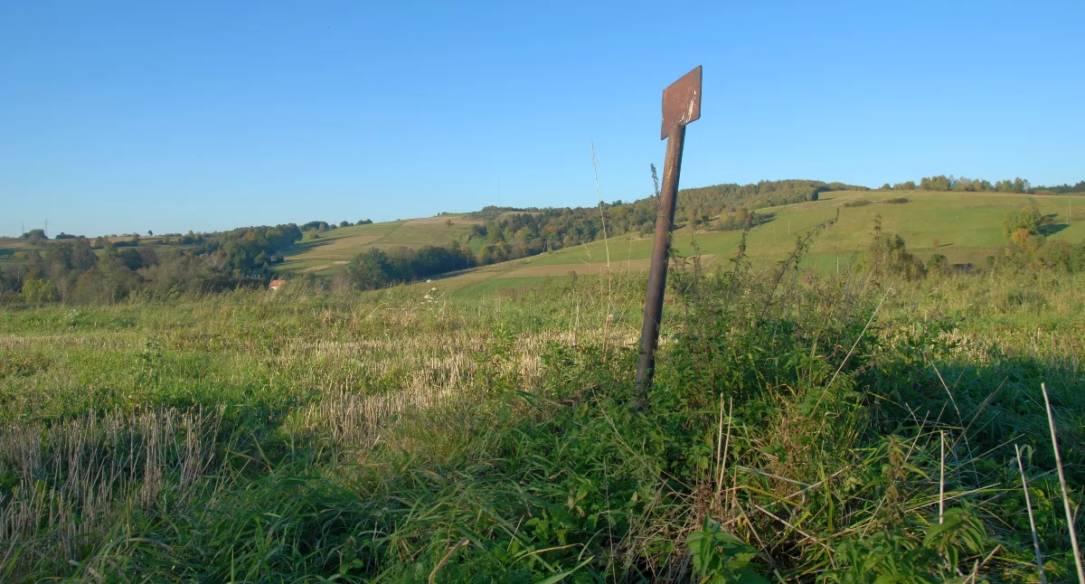 Kawałek terenu, droga, las, pagórki, cisza… A pod spodem? Ponad 7,5 kilometra geologicznej historii zapisanej w skałach. Tak wygląda także teren wokół najgłębszego odwiertu badawczo-poszukiwawczego w Polsce, w Kuźminie w gminie Bircza. Fot. www.wikipedia.pl