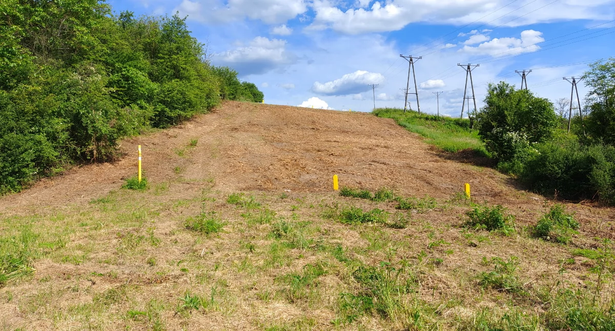 Spółka Gaz-System powołuje się na względy bezpieczeństwa infrastruktury gazowej, wyjaśniając, że prace polegające na usunięciu zakrzaczeń w rejonie ul. Węgierskiej były związane z koniecznością utrzymania wspomnianej strefy w odpowiednim stanie, tak, by krzaki nie stwarzały zagrożenia dla infrastruktury, a infrastruktura dla mieszkańców./ FOT. ZW