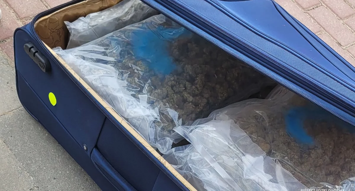 W bagażniku opla policjanci znaleźli dużą, podróżną walizkę, wypełniona po brzegi workami foliowymi z suszem roślinnym. Fot. KMP Przemyśl
