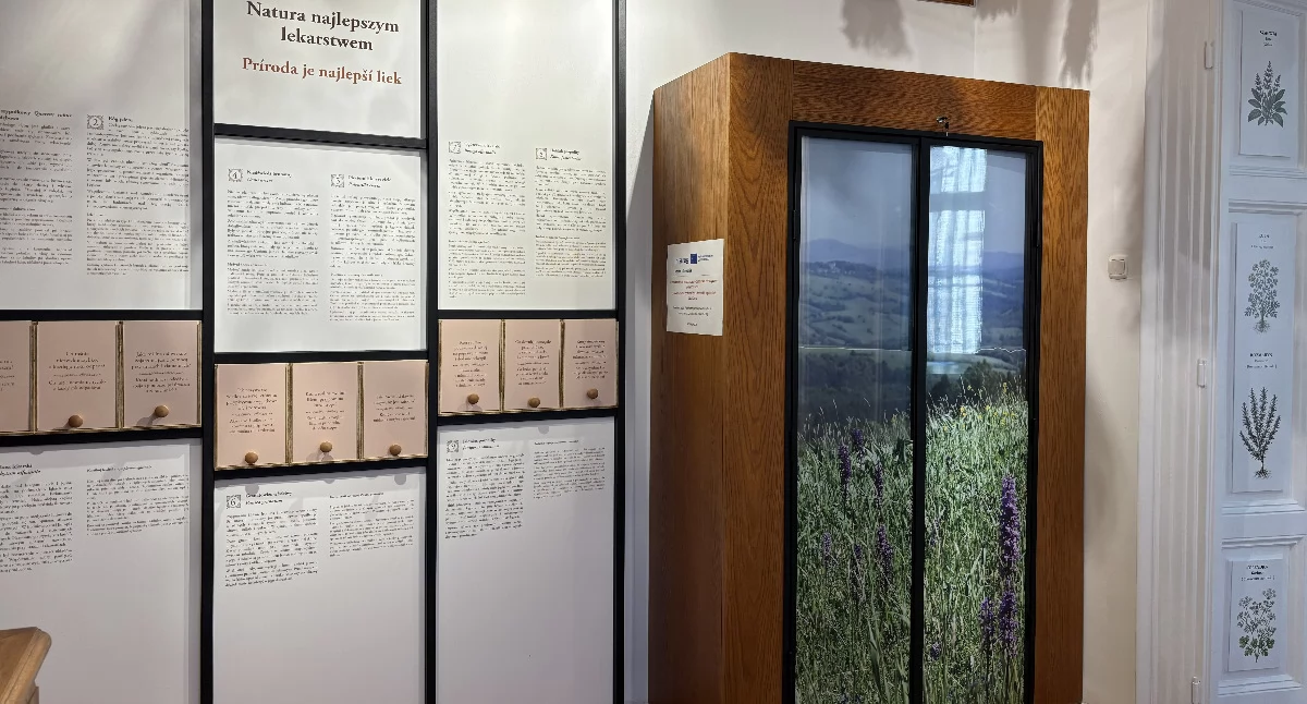 Nowa sala edukacyjna ma stać się miejscem, które inspiruje do zadawania pytań, prowadzenia obserwacji i odkrywania przyrody w niekonwencjonalny sposób. Eksponaty w sali nie będą tylko do oglądania. Będzie je można dotknąć. Fot. ZPK w Przemyślu