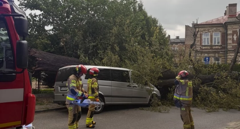 Na ulicy Poniatowskiego na skutek silnego wiatru przewróciło się drzewo, uszkadzając trzy zaparkowane przy ulicy samochody oraz kamienicę./ FOT. H. Szlanda