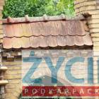 zdjęcie nr 10