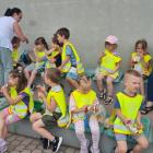 zdjęcie nr 14