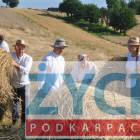 zdjęcie nr 9