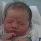 zdjęcie nr 8