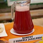 zdjęcie nr 73