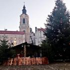 Fotka nr 2 z 21