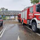 Fotka nr 5 z 33