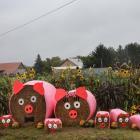 zdjęcie nr 32
