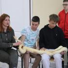ZS w Birczy