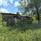 zdjęcie nr 1