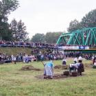 zdjęcie nr 16