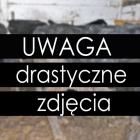Fotka nr 0 z 5