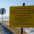 Fotka nr 5 z 6