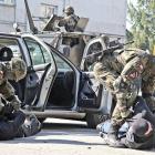 Fotka nr 3 z 17