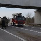 Fotka nr 5 z 26