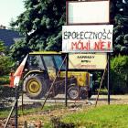 zdjęcie nr 10