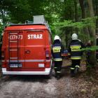 Fotka nr 1 z 16