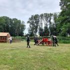 Fotka nr 4 z 15