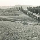 zdjęcie nr 52