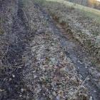 Jak podkreśla mieszkaniec, aktualnie droga w Piątkowej jest przejezdna tylko, kiedy...