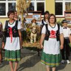zdjęcie nr 8